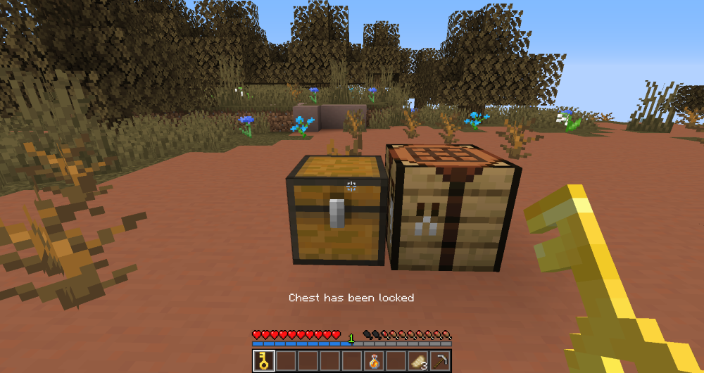 Chest has been locked