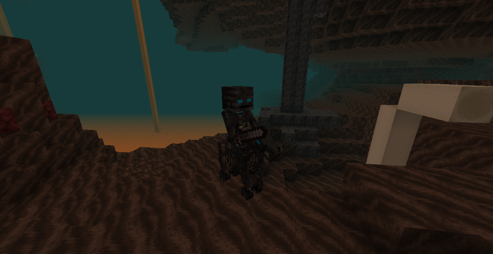 Wither Soldier in Soul Sand Valley