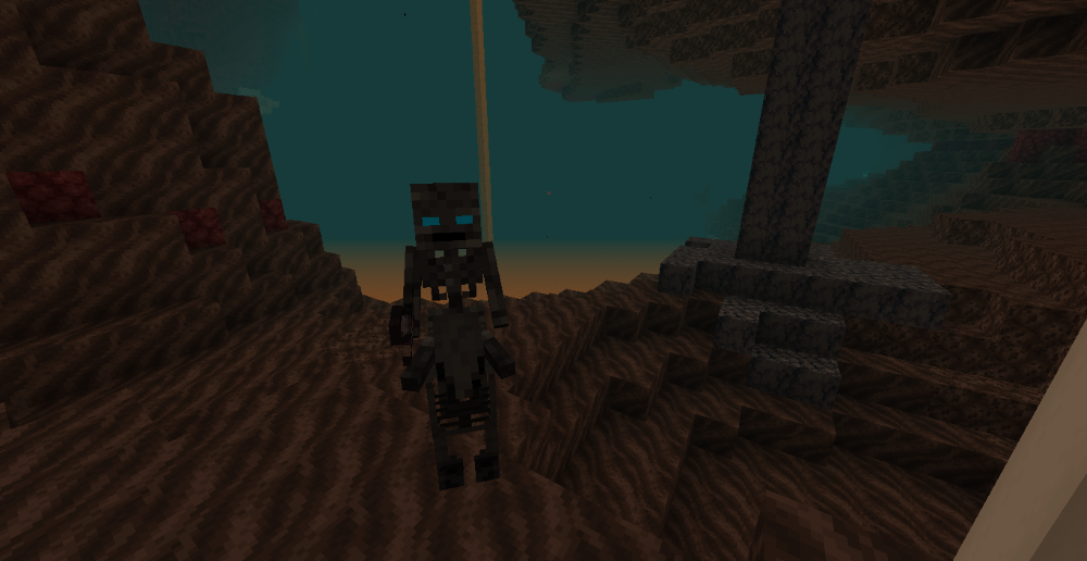 Wither Soldier